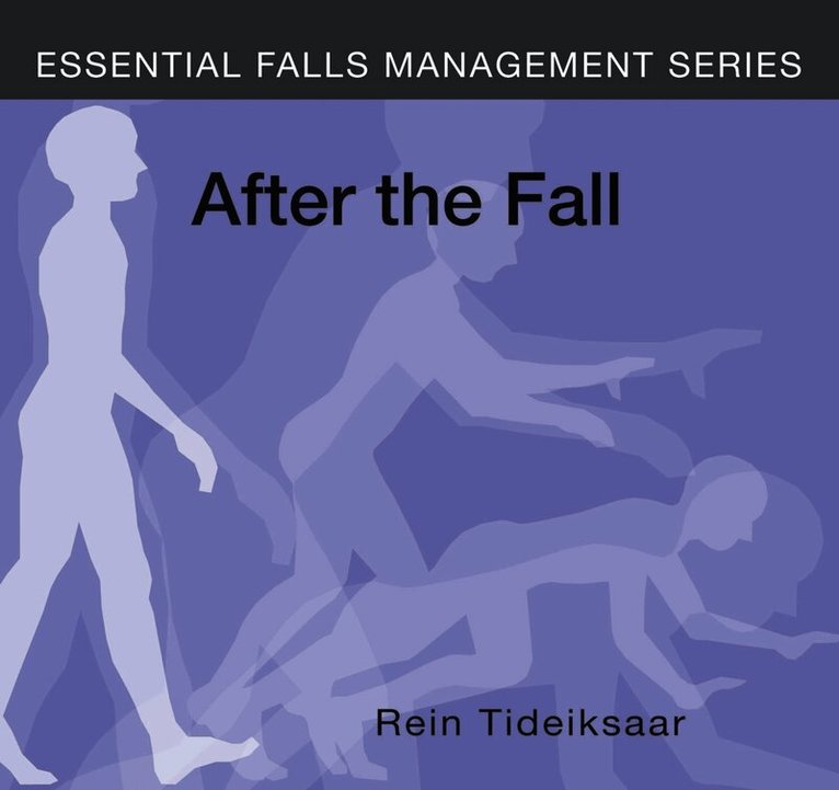 Rein Tideiksaar - After the Fall, Övrigt