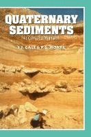 Quaternary Sediments av Stephen J Gale, Peter G Hoare