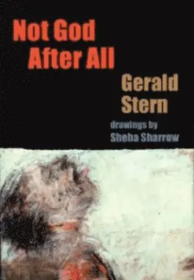 Gerald Stern - Not God After All, Inbunden. Tillgänglighet: Tillfälligt slut