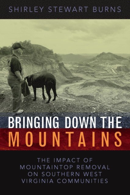 SHIRLEY S. BURNS - Bringing Down the Mountains, E-bok