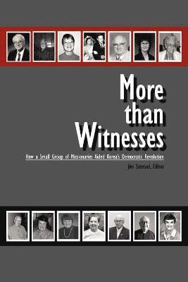 Jim Stentzel - More Than Witnesses, Häftad