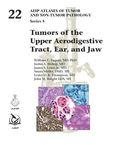 Tumors of the Upper Aerodigestive Tract, Ear, and Jaw
