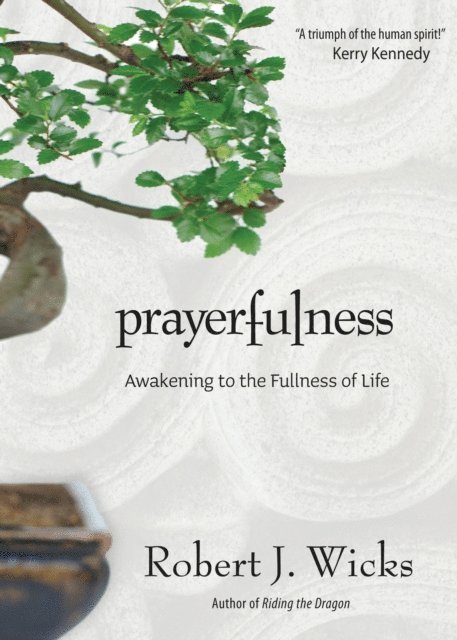 Robert J. Wicks - Prayerfulness, E-bok