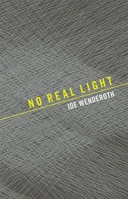 Joe Wenderoth - No Real Light, Häftad. Tillgänglighet: Lägg i varukorg