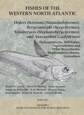Orders Heteromi (Notacanthiformes), Berycomorphi (Beryciformes), Xenoberyces (Stephanoberyciformes), Anacanthini (Gadiformes)