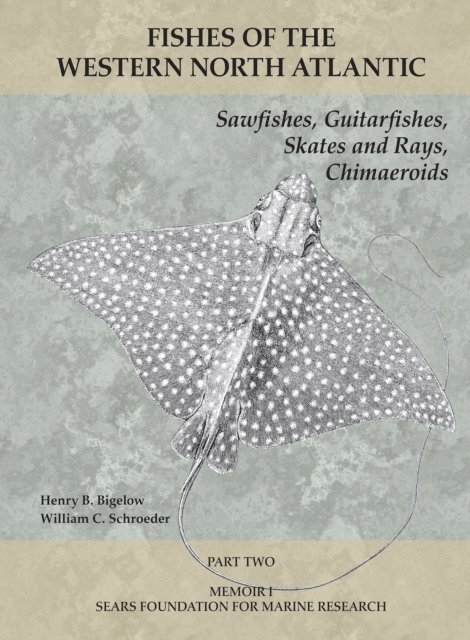 Schroeder William C. Schroeder, Bigelow Henry B. Bigelow - Sawfishes, Guitarfishes, Skates and Rays, Chimaeroids, E-bok. Tillgänglighet: Lägg i varukorg