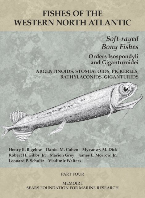 Walters Vladimir Walters, Schultz Leonard P Schultz, Morrow James E Morrow, Grey Marion Grey, Gibbs Robert H. Gibbs, Dick Myvanwy M Dick, Cohen Daniel M. Cohen, Bigelow Henry B. Bigelow - Soft-rayed Bony Fishes: Orders Isospondyli and Giganturoidei, E-bok. Tillgänglighet: Lägg i varukorg