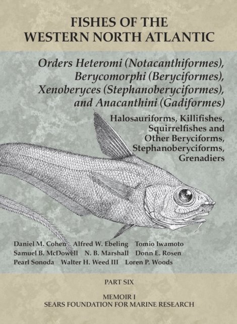 Woods Loren P Woods, Weed Walter H Weed, Sonoda Pearl Sonoda, Rosen Donn E Rosen, Marshall N. B. Marshall, McDowell Samuel B McDowell, Iwamoto Tomio Iwamoto, Ebeling Alfred W Ebeling, Cohen Daniel M. Cohen - Orders Heteromi (Notacanthiformes), Berycomorphi (Beryciformes), Xenoberyces (Stephanoberyciformes), Anacanthini (Gadiformes), E-bok. Tillgänglighet: Lägg i varukorg