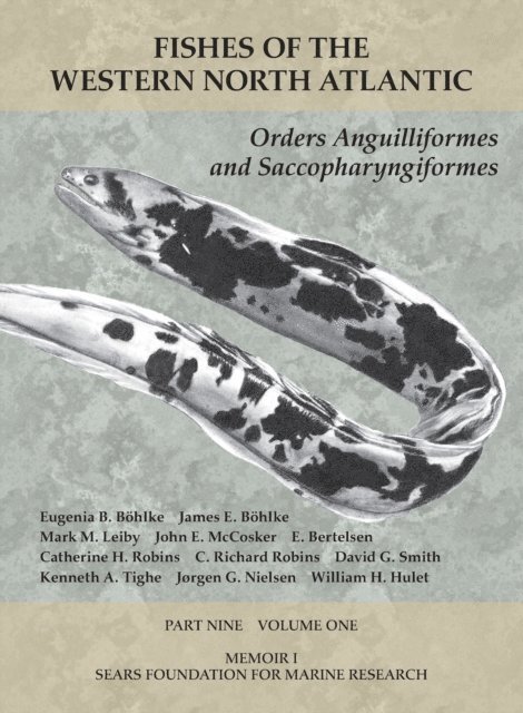 Hulet William H Hulet, Nielsen Jorgen G Nielsen, Tighe Kenneth A Tighe, Smith David G Smith, Robins C. Richard Robins, Robins Catherine H Robins, Bertelsen E. Bertelsen, McCosker John E McCosker, Leiby Mark M Leiby, Bohlke James E Bohlke, Bohlke Eugenia B. Bohlke - Orders Anguilliformes and Saccopharyngiformes, E-bok. Tillgänglighet: Lägg i varukorg
