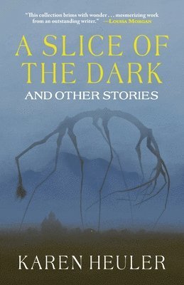 Karen Heuler - Slice of the Dark and Other Stories, Häftad. Tillgänglighet: Lägg i varukorg