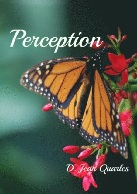 D. Jean Quarles - Perception, E-bok