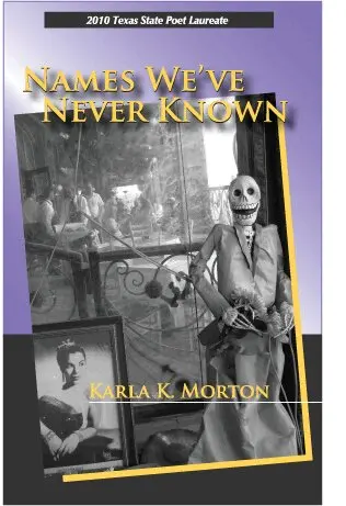 Karla K. Morton - Names We've Never Known, Häftad. Tillgänglighet: Lägg i varukorg