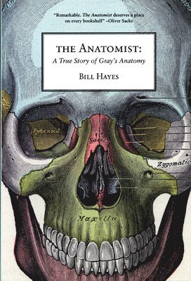 Bill Hayes - Anatomist, Häftad. Tillgänglighet: Lägg i varukorg