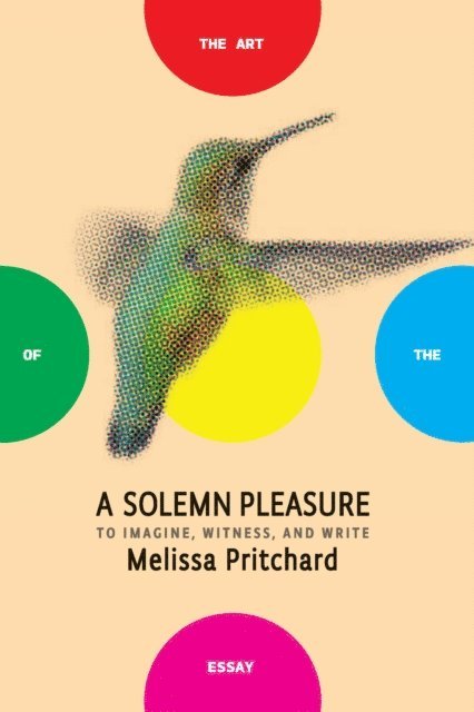 Melissa Pritchard - Solemn Pleasure, E-bok