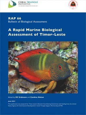 Mark V. Erdmann, Candice Mohan - Rapid Marine Biological Assessment of Timor-Leste, Häftad. Tillgänglighet: Tillfälligt slut
