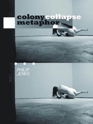 Philip Jenks - Colony Collapse Metaphor, Häftad