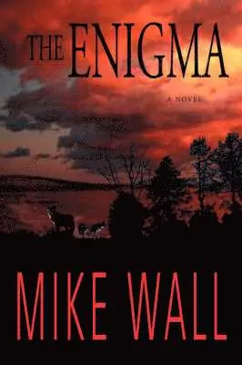 Mike Wall - Enigma, Häftad. Tillgänglighet: Lägg i varukorg