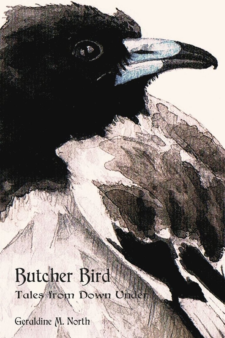 Geraldine M North - Butcher Bird, Häftad