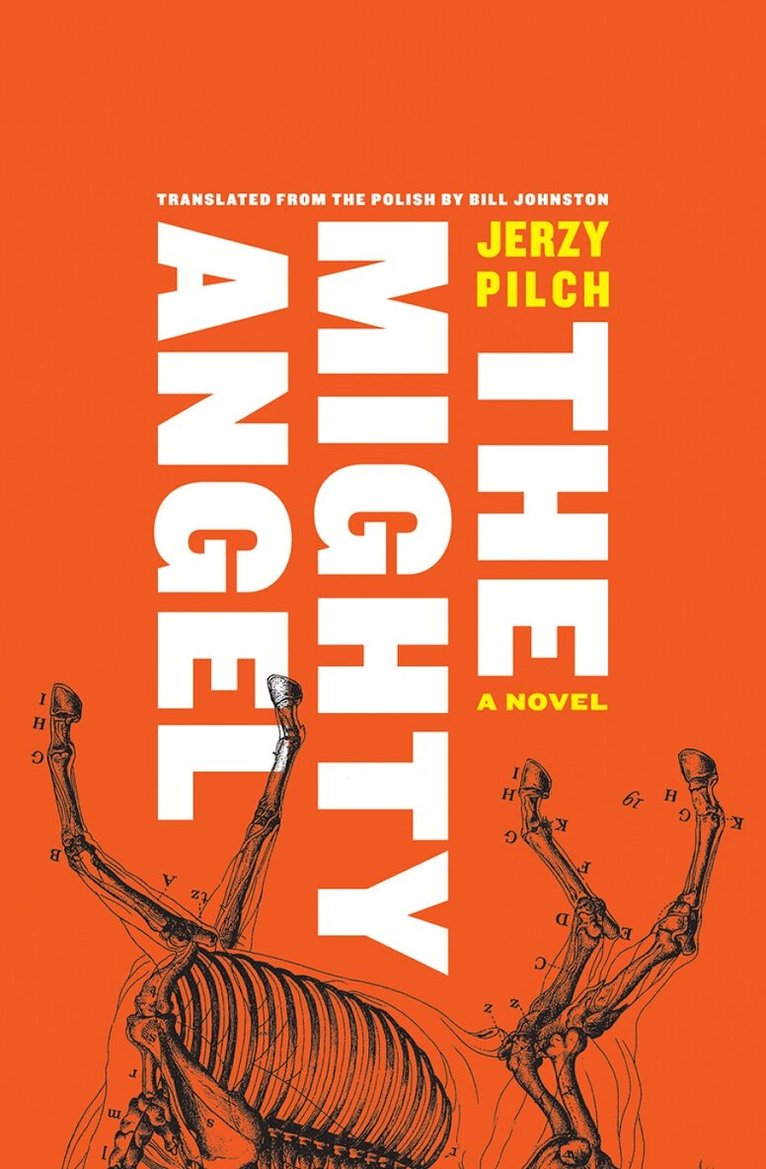 Jerzy Pilch - Mighty Angel, Inbunden