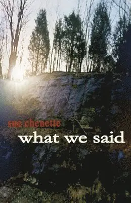 Sue Chenette - What We Said, Häftad. Tillgänglighet: Lägg i varukorg