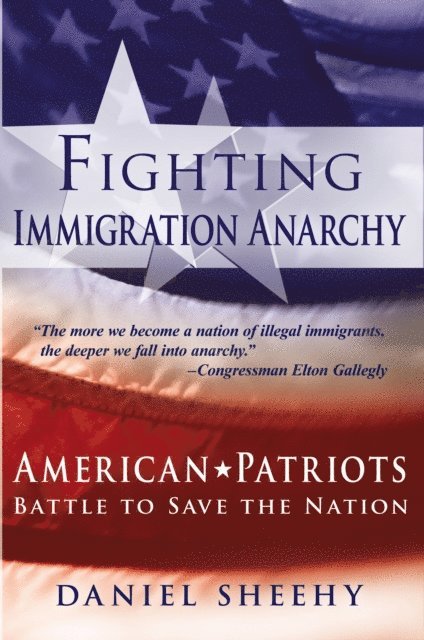 Daniel Sheehy - Fighting Immigration Anarchy, E-bok