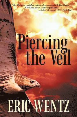 Eric Wentz - Piercing the Veil, Häftad
