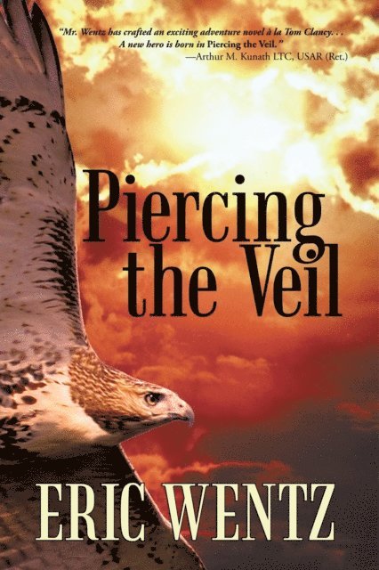 Eric Wentz - Piercing the Veil, E-bok