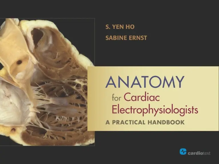Sabine Ernst, S. Yen Ho - Anatomy for Cardiac Electrophysiologists: A Practical Handbook, E-bok. Tillgänglighet: Lägg i varukorg