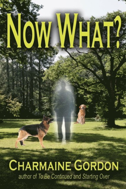 Charmaine Gordon - Now What?, E-bok