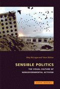 Sensible Politics