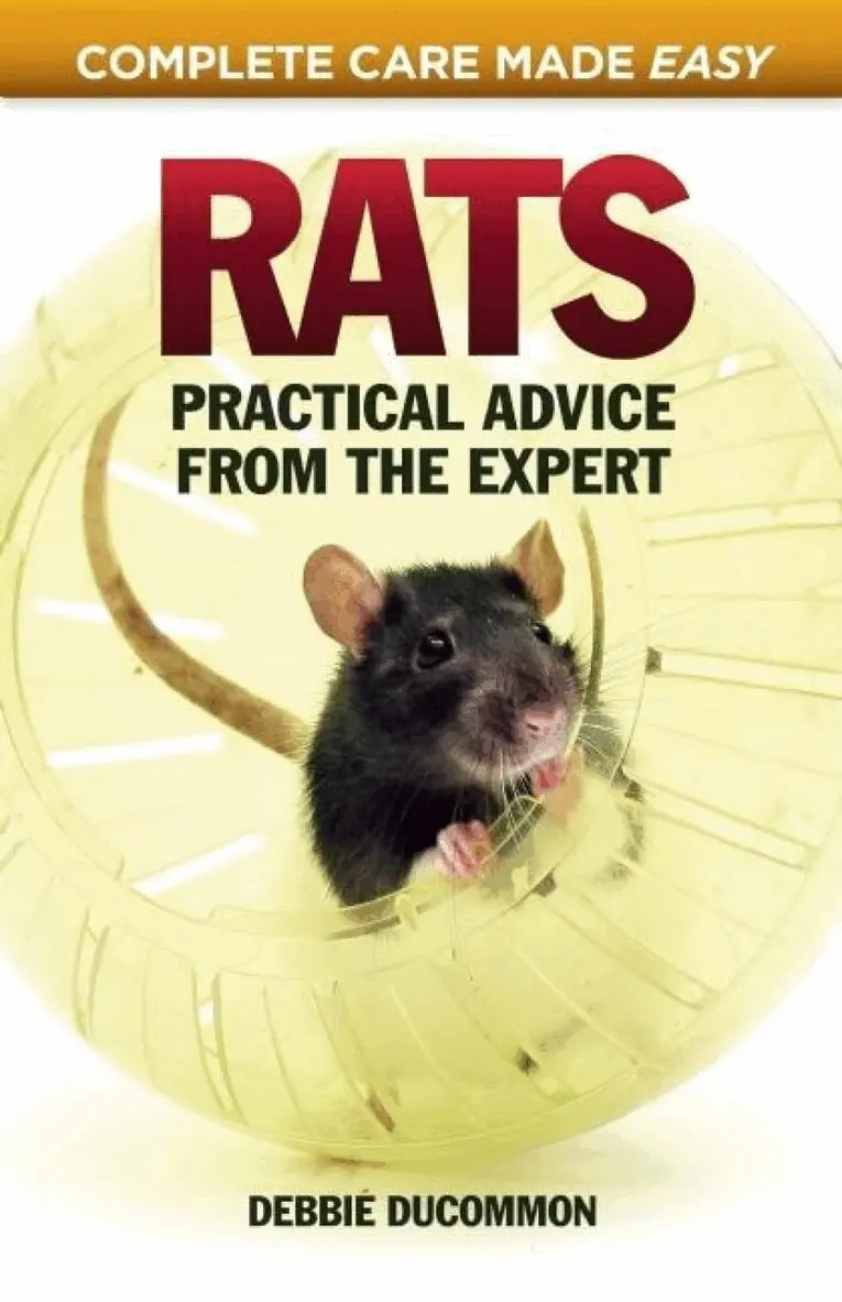 Debbie Ducommum - Rats, Häftad. Tillgänglighet: Lägg i varukorg