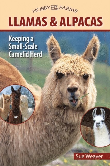 Sue Weaver - Llamas and Alpacas, E-bok