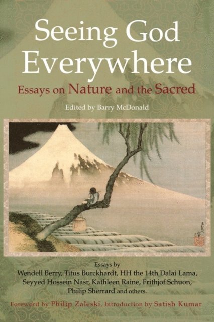 Barry McDonald - Seeing God Everywhere: Essays On Nature, E-bok