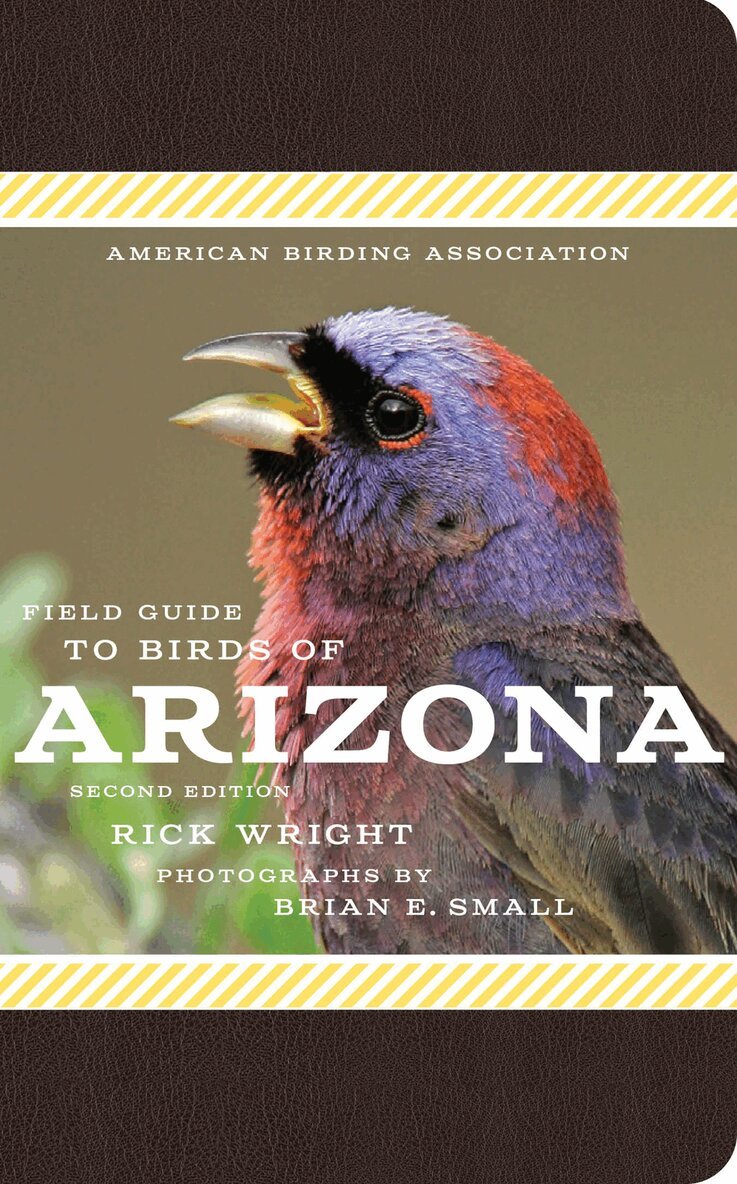 Rick Wright - American Birding Association Field Guide to Birds of Arizona, Häftad