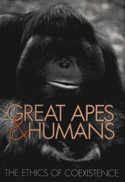 Bryan Norton, Terry L. Maple, Michael Hutchins, Tara S. Stoinski, Benjamin B. Beck - Great Apes and Humans, E-bok