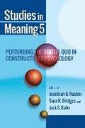 Studies in Meaning 5: Perturbing the Status Quo in Constructivist Psychology