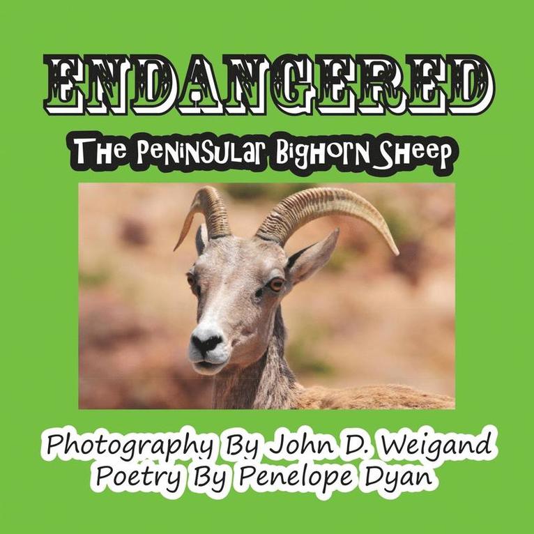 Penelope Dyan, John D Weigand - Endangered--The Peninsular Bighorn Sheep, Häftad. Tillgänglighet: Lägg i varukorg