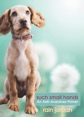 Rain Jordan - Such Small Hands: An Anti-Aversives Primer, Häftad