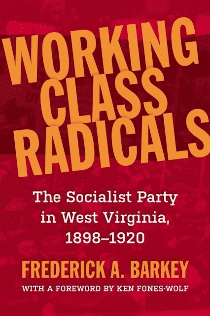 Frederick A. Barkey - Working Class Radicals, E-bok
