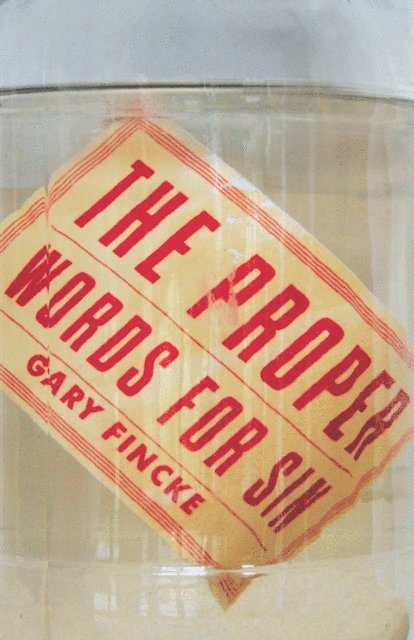 Gary Fincke - Proper Words for Sin, E-bok