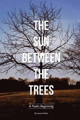 Laurie Hraha - Sun Between the Trees, Häftad