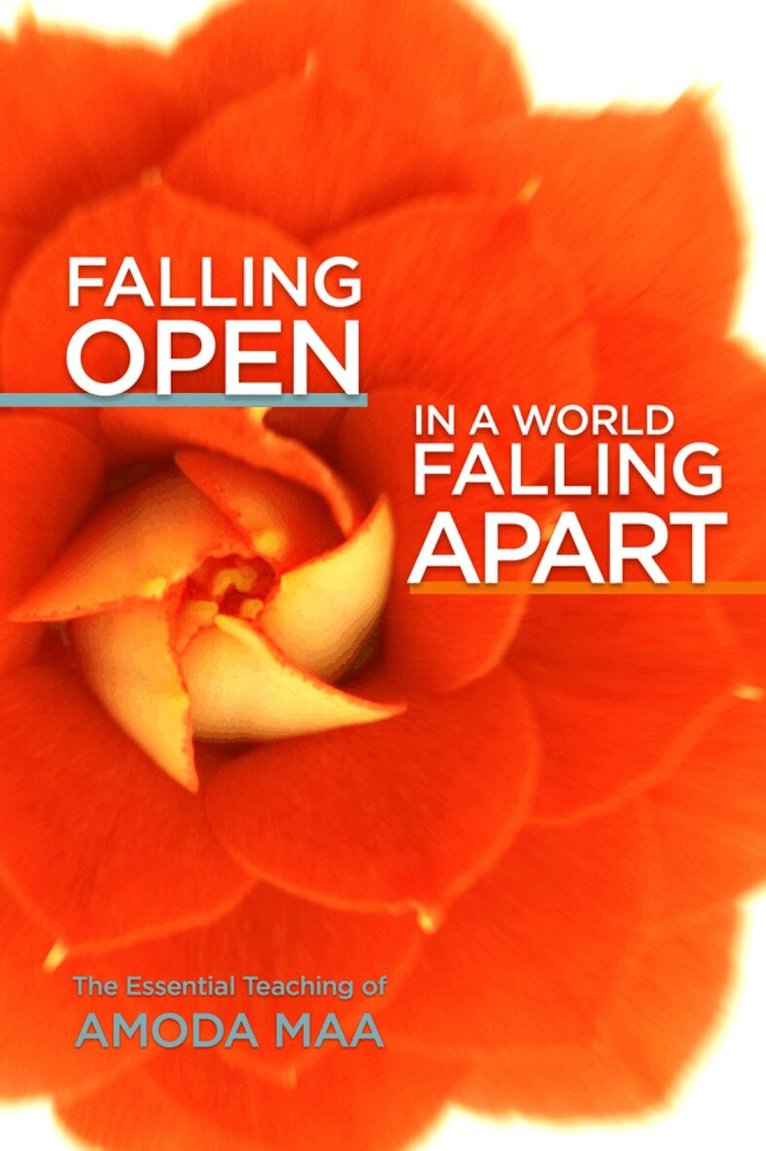 Amoda Maa - Falling Open in a World Falling Apart, Häftad