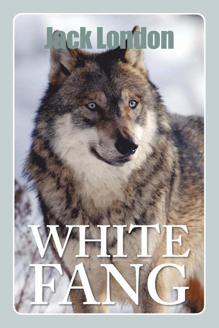 Jack London - White Fang, Häftad