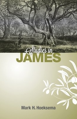 Mark H Hoeksema - Studies in James, Häftad