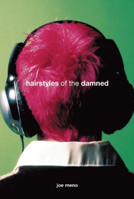 Joe Meno - Hairstyles of the Damned, E-bok