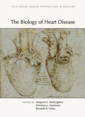 Kenneth R Chien, Margaret Buckingham, Christine L Mummery, Kenneth R Chien, Margaret Buckingham, Christine L Mummery - Biology of Heart Disease, Inbunden. Tillgänglighet: Lägg i varukorg