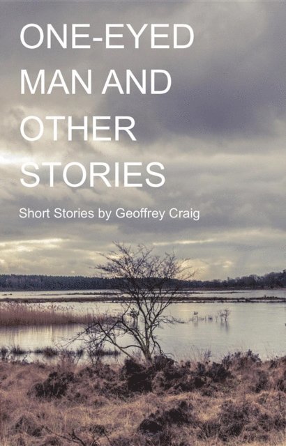 Geoffrey Craig - One-Eyed Man and Other Stories, E-bok