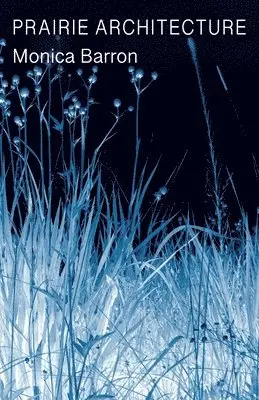 Monica Barron - Prairie Architecture, Häftad. Tillgänglighet: Lägg i varukorg