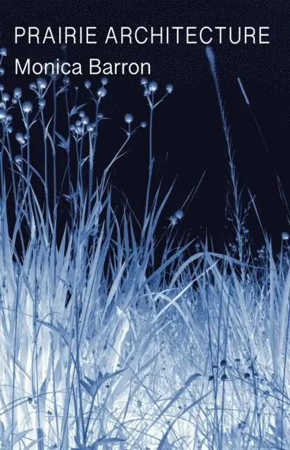 Monica Barron - Prairie Architecture, E-bok. Tillgänglighet: Lägg i varukorg