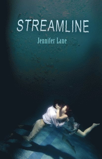 Jennifer Lane - Streamline, E-bok